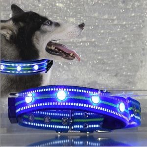 LED dog collar